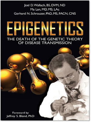 cover image of Epigenetics